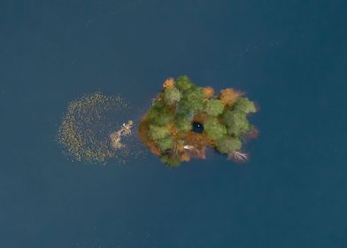 Little Island In A Lake