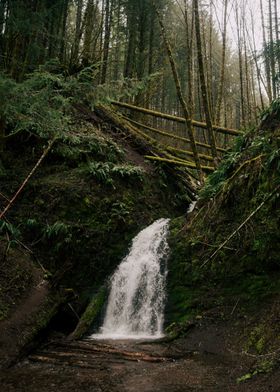 Little Forest Waterfall