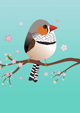 Cute zebra finch