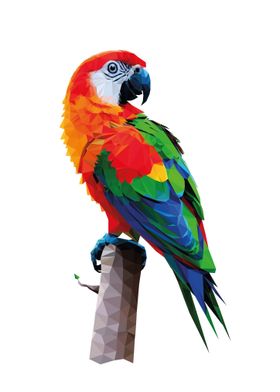 Brazilian Arara