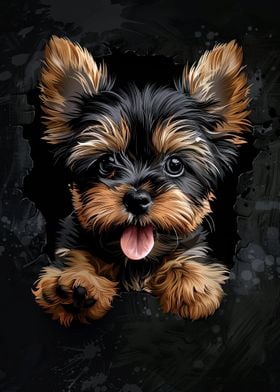 Yorkshire Terrier