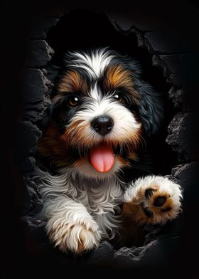 Tibetan Terrier