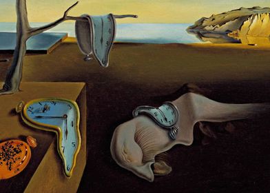The persistence of memory
