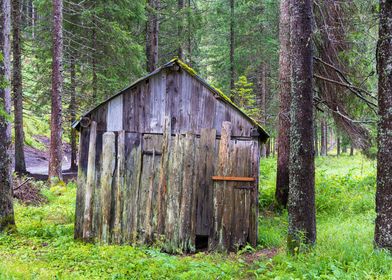 Old building in  the woods