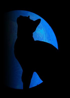 Black cat in space