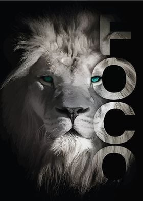 Lion Foco