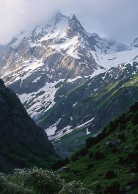 Serene Alpine Tranquility