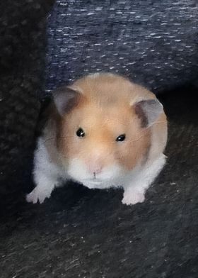 Hamster Meme