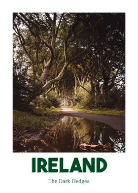 The Dark Hedges