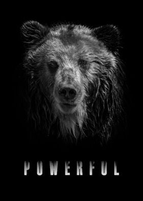 Bear Powerful