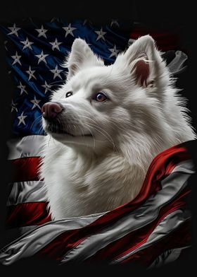 American Eskimo America