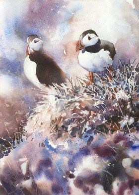 Icelandic puffins artwork