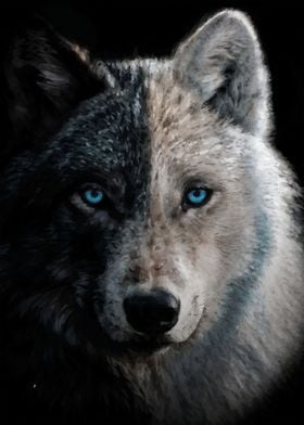 black wolf with blue eyes