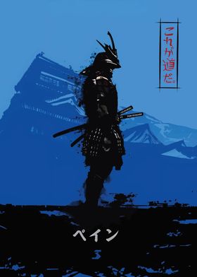 Samurai Warrior 