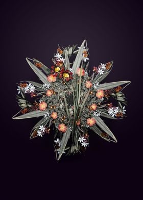 Ixia Tricolor Wreath
