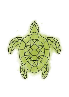 Turtle geometric 