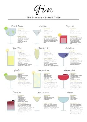 Gin cocktail Guide