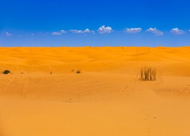 Sahara desert in Tunisia