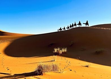 Camel ride in the desert 1