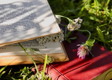 Picnic Reading