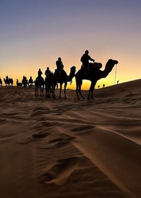 Camel ride in the desert 2