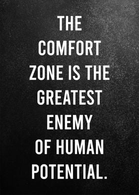 the confort zone quotes