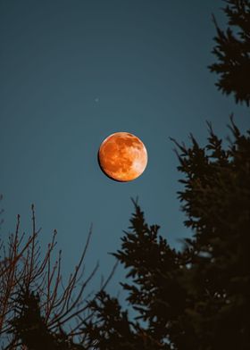 Blood Moon Twilight Sky