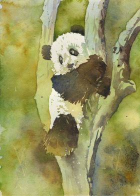 Panda bear watercolor art