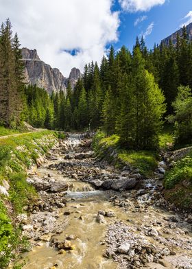 A river in the woods