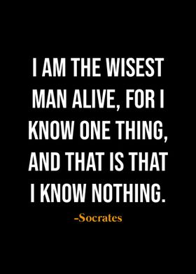 Socrates quotes 