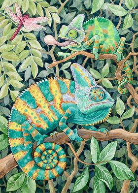 Watercolour Chameleons 