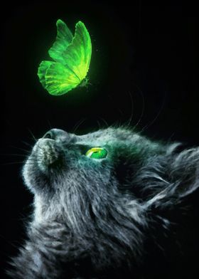 cat butterfly