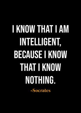 Socrates quotes 