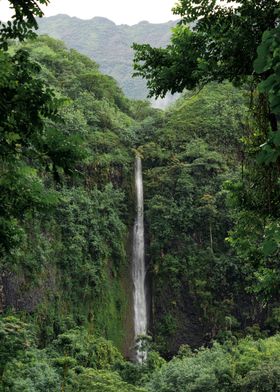 Tahiti Waterfall