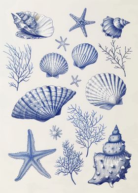 Vintage Seashell Sketches