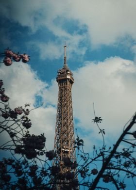 Eiffel Tower behind trees