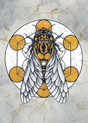 Cicada in Gold