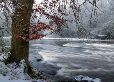 Frosty stream