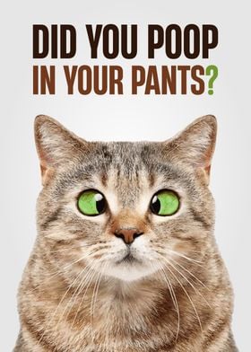 DID YOU POOP IN YOUR PANTS