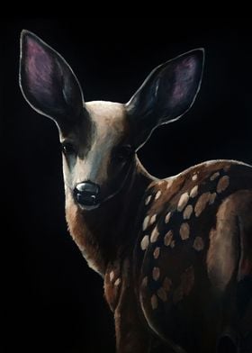 Young Deer