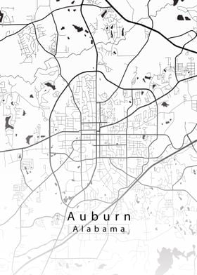 Auburn Alabama City Map