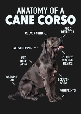 Cane corso