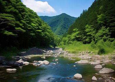 Forest at Lake Nature