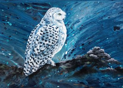 Snowy Owl