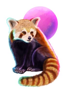 Red Panda White 