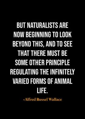 Alfred Russel Wallace 