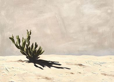 Desert plant shadows on sa