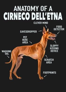 Cirneco delletna