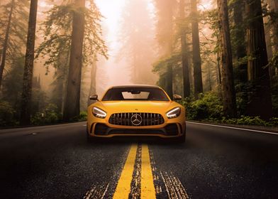 Mercedes Benz AMG GTR