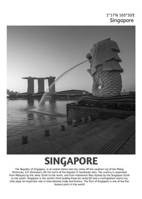 Singapore minimalist